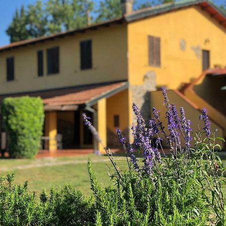 Agriturismo Santa Lorica Sassetta Exteriér fotografie