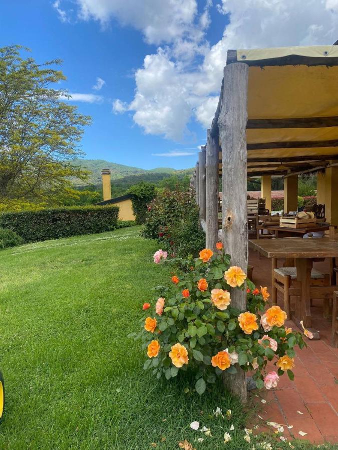 Agriturismo Santa Lorica Sassetta Exteriér fotografie