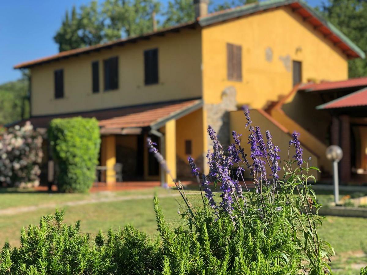 Agriturismo Santa Lorica Sassetta Exteriér fotografie