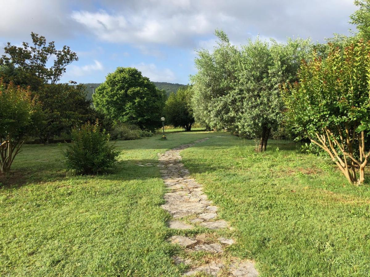 Agriturismo Santa Lorica Sassetta Exteriér fotografie